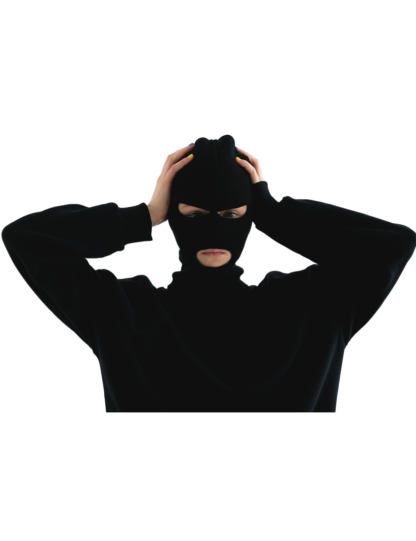 thief (1)