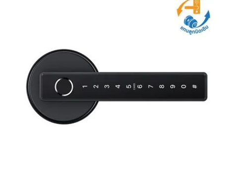 18082025_1256471$Imagec1